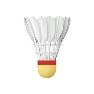 Badminton Shuttlecock
