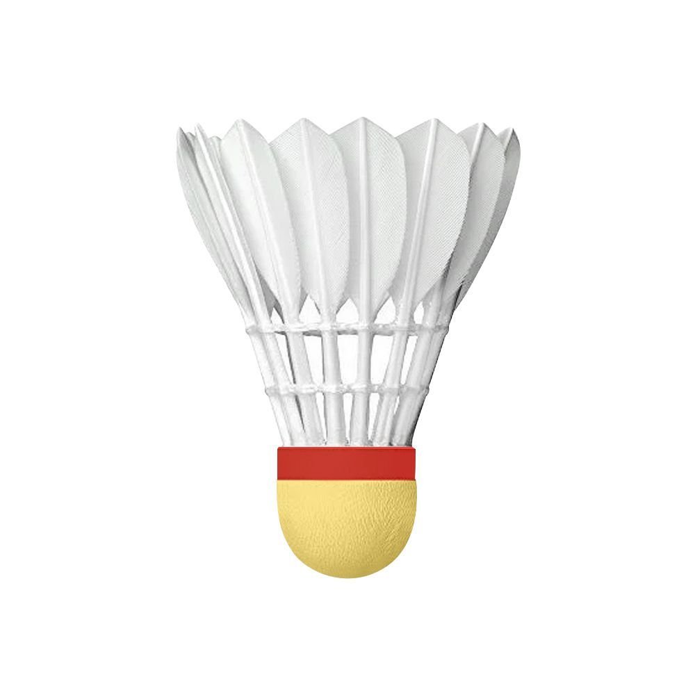 Badminton Shuttlecock