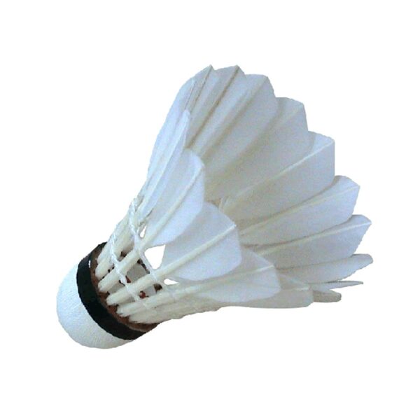 Badminton Shuttlecock