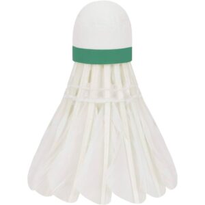 Badminton Shuttlecock