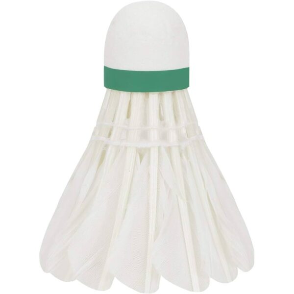 Badminton Shuttlecock