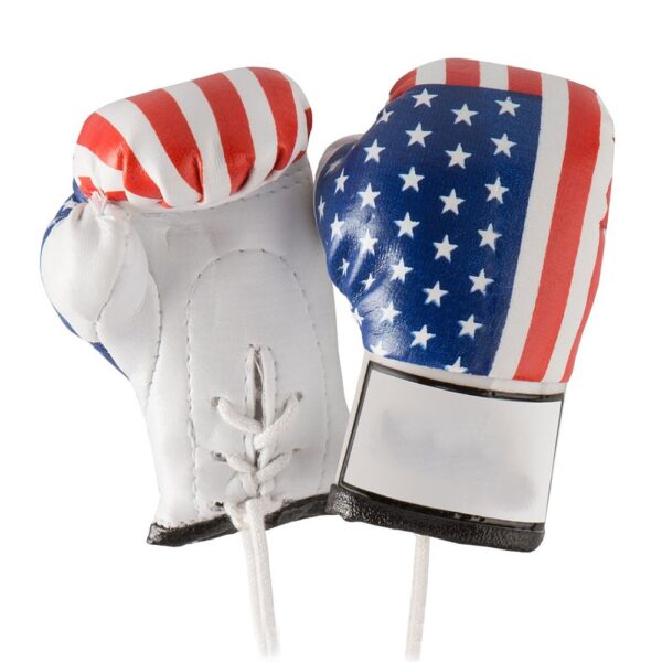 BOXING GLOVES