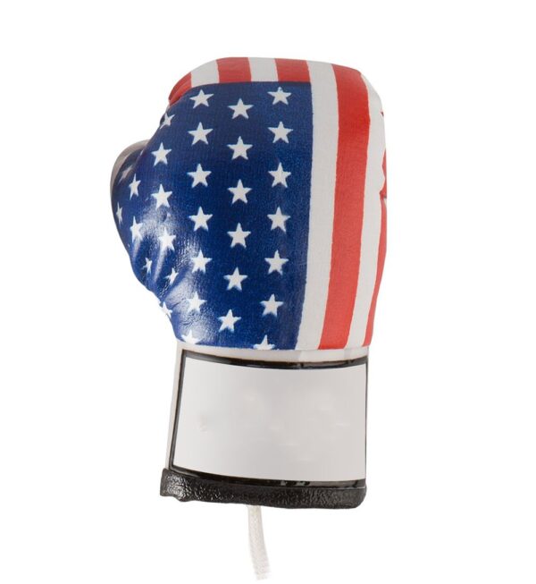 BOXING GLOVES - Image 2