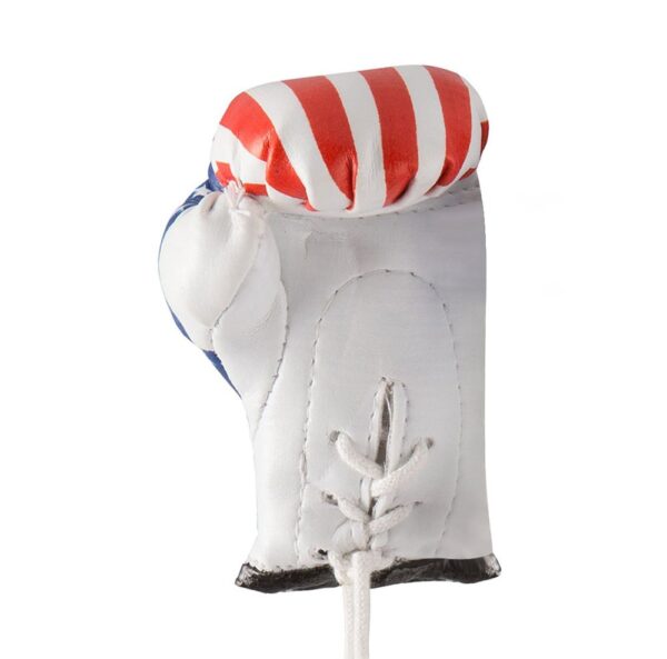 BOXING GLOVES - Image 3