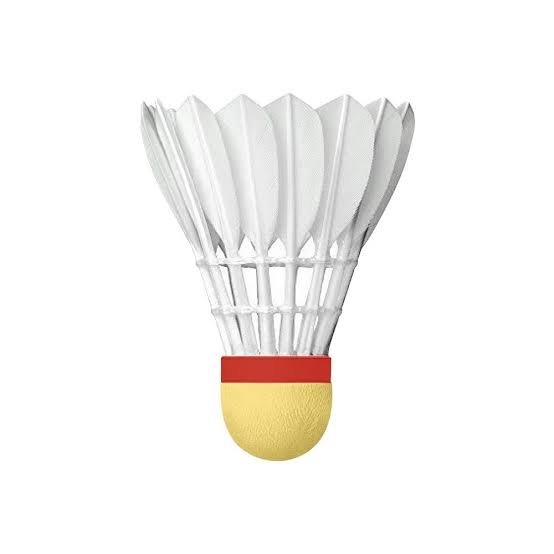 Badminton Shuttlecock