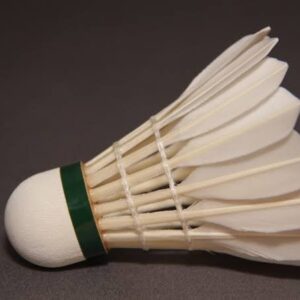 Badminton Shuttlecock