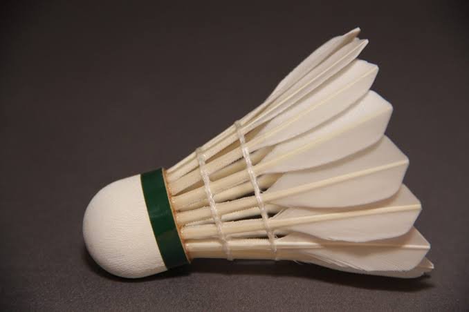 Badminton Shuttlecock